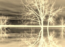 Sepia + Negatyw