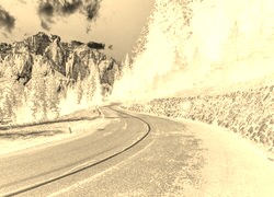 Sepia + Negatyw