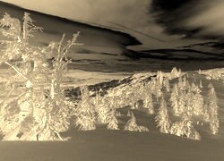 Sepia + Negatyw