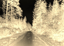 Sepia + Negatyw