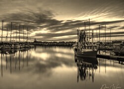 Szary + Sepia