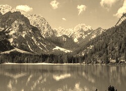 Szary + Sepia