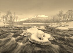 Szary + Sepia