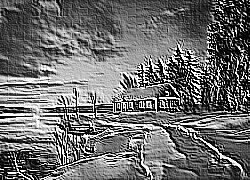Skamielina