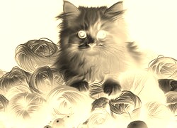 Sepia + Negatyw