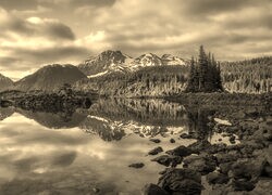 Sepia