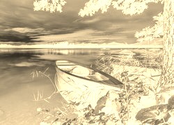 Sepia + Negatyw