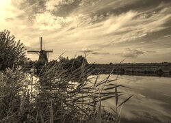 Szary + Sepia
