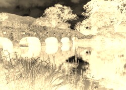 Sepia + Negatyw