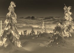 Sepia + Negatyw