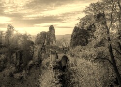 Szary + Sepia
