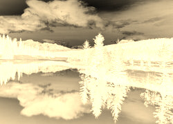 Sepia + Negatyw