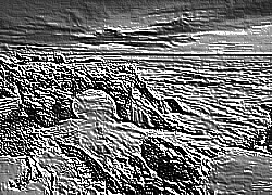 Skamielina