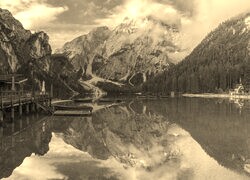 Szary + Sepia