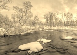 Szary + Sepia