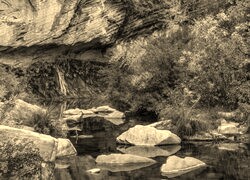 Szary + Sepia