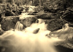 Sepia