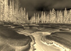 Sepia + Negatyw