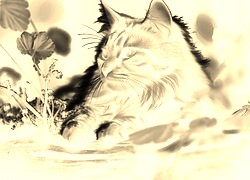 Sepia + Negatyw