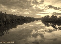 Szary + Sepia