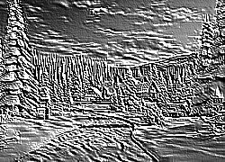 Skamielina