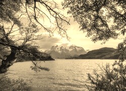 Szary + Sepia