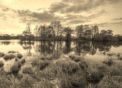 Szary + Sepia