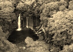 Sepia