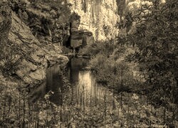 Sepia
