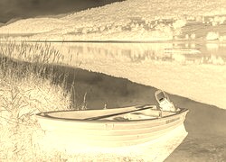 Sepia + Negatyw