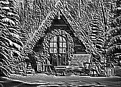 Skamielina