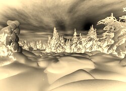 Sepia + Negatyw