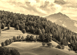 Sepia