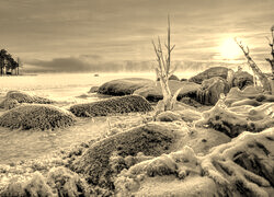 Szary + Sepia
