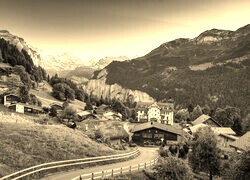 Szary + Sepia
