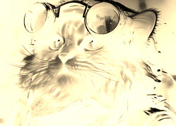 Sepia + Negatyw