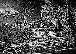 Skamielina