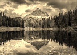 Szary + Sepia