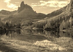 Sepia