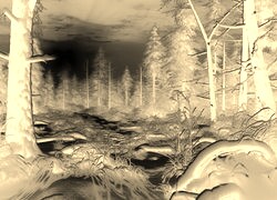 Sepia + Negatyw