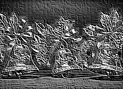 Skamielina