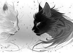 Szary + Negatyw