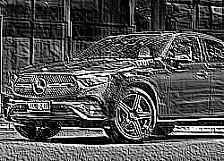 Skamielina