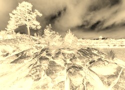 Sepia + Negatyw
