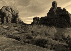 Szary + Sepia