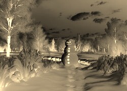 Sepia + Negatyw