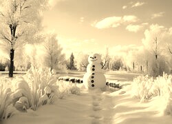 Sepia