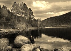 Sepia