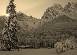 Szary + Sepia