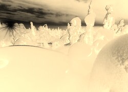 Sepia + Negatyw